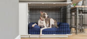 Greyhound slapper af i sit moderne hundebur placeret i køkkenet