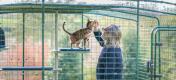 Mand og kat i et kattehegn, der nyder det personlige udendørs kattetræ