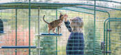 Mand klapper kat inde i Omlet kattegård med Freestyle udendørs kattetræ