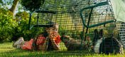Et barn fodrer sin kanin med vandmelon gennem løbegårdens net.