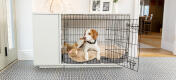 Hund ligger i Topology memoryskum hundeseng placeret inde i Fido Studio hundeburet