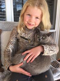 Burmesiske katte er gode til børn.
