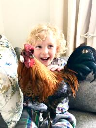 Arthur og Boris Bantam