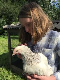 Hermionie Hen kommer hjem!