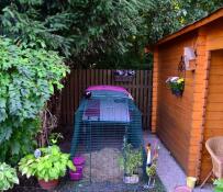 En lilla Eglu Cube hønsegård med tilhørende løbegård i en have