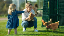 Mor og datter kigger på hønsene i Eglu pro coop