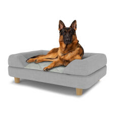 Hund sidder på en stor Topology hundeseng med grå pude og runde træfødder