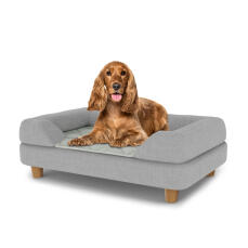 Hund sidder på en medium Topology hundeseng med grå pude og runde træfødder