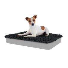 Hund sidder på medium Topology hundeseng med grå mikrofiber topper i koksgrå farve