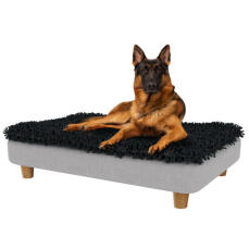 Schæferhund sidder på den store Topology forhøjede hundeseng