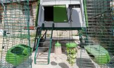 Omlet grøn Eglu Cube stor hønsegård og løbegård med Omlet Caddi Godsholder og Omlet puklegetøj
