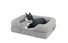 Kat, der ligger på grå seng til katte