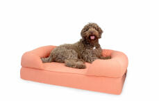 En stor brun hund sad på en stor lyserød skumgummiseng med hukommelse bolster seng bolster seng