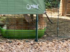 To kaniner, der skjuler en Omlet foderautomat.