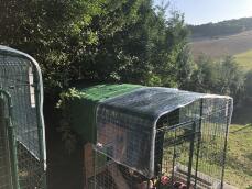 Omlet hønsegård med hønsegård i træ indeni med Omlet grøn automatisk hønsedør tilknyttet