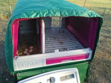 Adgang til æg og redekasse ved hjælp af varmetæppe