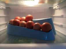 En æggelampe inde i køleskabet.