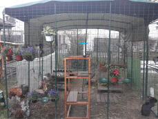 En løbegård i en have med masser af blomster inde i haven, der er indrettet til kaniner