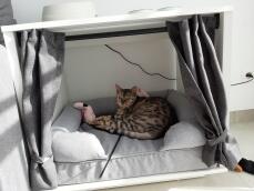 Maya Nook med en seng med en kattepude indeni, hvor en kat sover på den