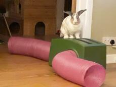 En kanin, der står på sit grønne skjul og lyserøde tunneller