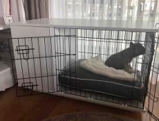 Kat i Omlet Maya  Nook kattemøbler