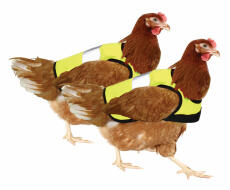 Gule high-vis kyllingejakker