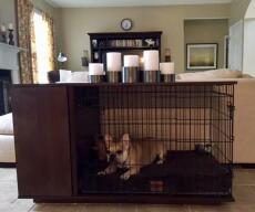 Hunden bosswell i en valnøddetræsholder Fido Studio med et garderobeskab i en stue