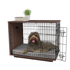 En hund, der sidder i en Omlet Fido Studio hundeskuffert i valnøddetræ.