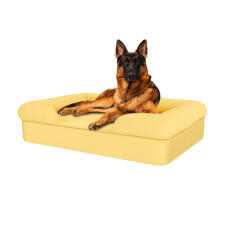 Hund sidder på mellow yellow stor skumgummi bolster hundeseng med hukommelse