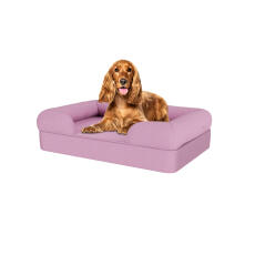Hund sidder på lavender lilac medium memory foam bolster hundeseng