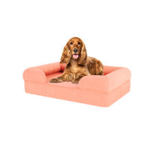 Hund sidder på medium fersken pink hukommelsesskum bolster hund seng