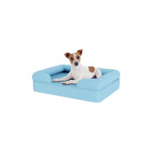 Hund sidder på lille himmelblå skumgummi bolster hund seng