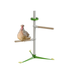 Kylling i det fritstående perch-system fjersæt