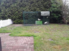 To ænder i en løbegård med et Cube bur i en have
