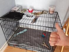En hundekasse, der er klar til at blive brugt