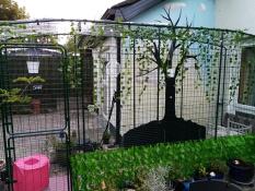 En Omlet catio dekoreret med planter.