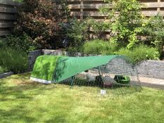 En grøn hønsegård og løbegård med overdækning, i en have