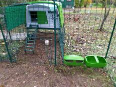 Omlet grøn Eglu Cube stor hønsegård og løbegård i forbindelse med Omlet løbegård til høns