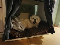 Hund lægger sig ned i Omlet Fido  Nook hundekasse møbler