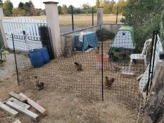 At lave et område i din have til at holde høns.