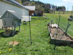Et stort område til høns bag hønsehegn med en hvidmalet hønsegård indenfor