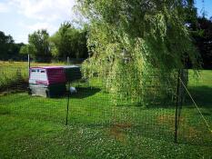 En have med hønsehegn og en lilla Eglu Cube