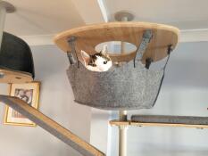En kat, der nyder hængekøjen i sit indendørs kattetræ