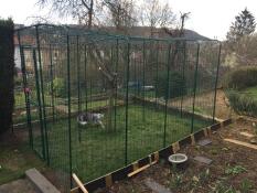 En stor grøn løbegård i en have til en kat