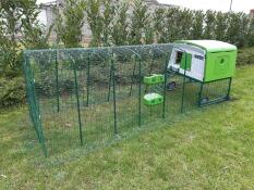 Omlet green Eglu Cube stor hønsegård og løbegård i haven