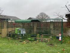 En grøn hønsegård i en stor løbegård
