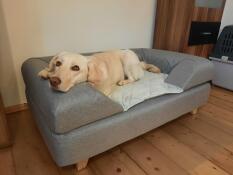 Topology memory-foam hundeseng stor