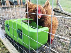 Meget robust, og metalkrogene passer nemt på vores selvbyggede hønsegård! 