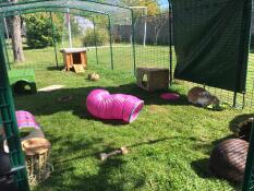 Bunny heaven ❤️❤️️