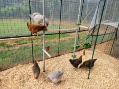 Chickie legeplads!